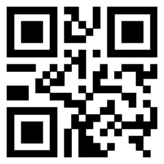QrCode di 3306138174