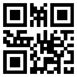QrCode di 3306138196