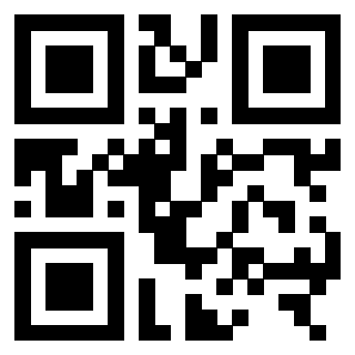 3306138211 - Immagine del QrCode