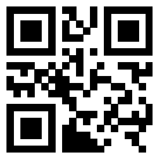 3306154333 - Immagine del QrCode