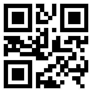 3306154719 - Immagine del QrCode