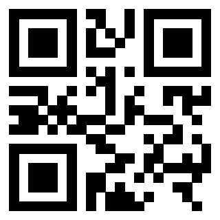 QrCode di 3306154993