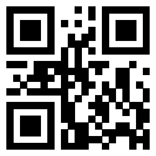 3306161913 - Immagine del QrCode