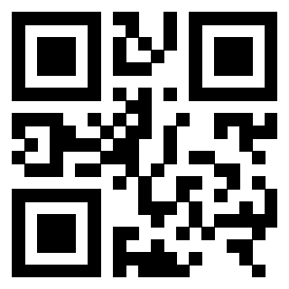 3306161919 - Immagine del QrCode