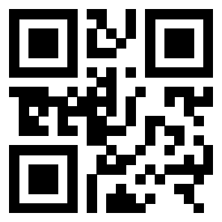 3306161920 - Immagine del QrCode