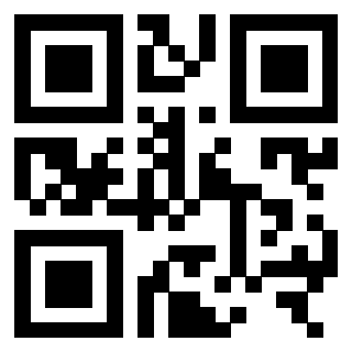 3306161987 - Immagine del QrCode