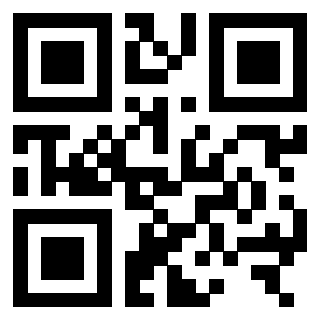 Il Qr Code di 3306162049
