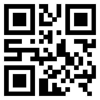 3306162491 - Immagine del Qr Code