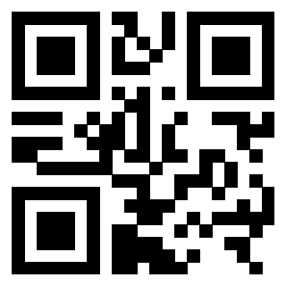 Il Qr Code di 3306163398