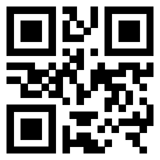 QrCode di 3306163866