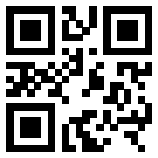 Il Qr Code di 3306163933