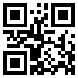 3306167494 - Immagine del QrCode