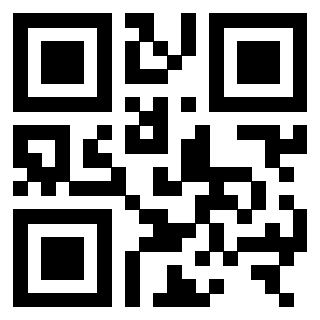 3306167499 - Immagine del QrCode associato
