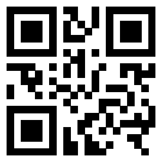 3306167919 - Immagine del QrCode