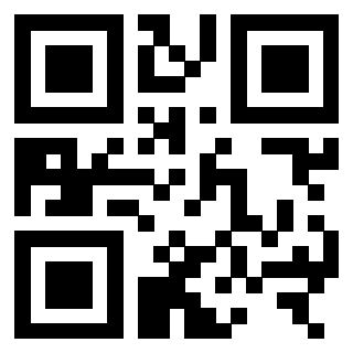 QrCode di 3306168381