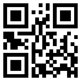QrCode di 3306176302