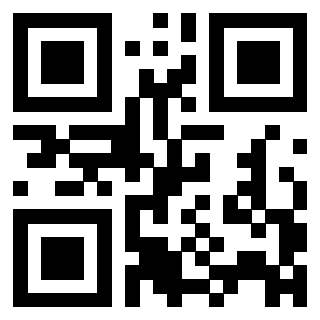 3306176454 - Immagine del QrCode associato