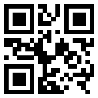 3306176582 - Immagine del QrCode associato