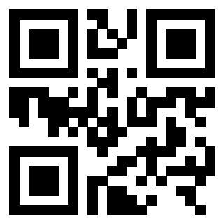 3306184795 - Immagine del Qr Code associato