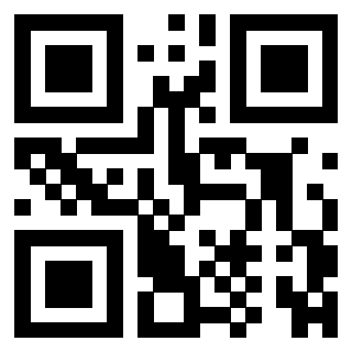 QrCode di 3306338679