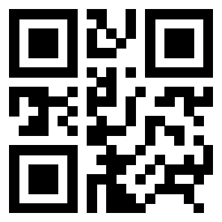 QrCode di 3306338690