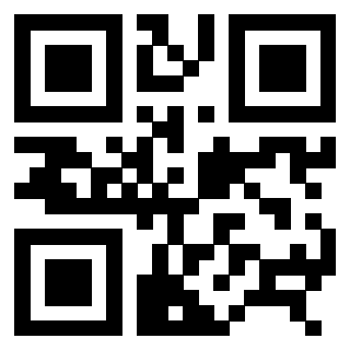 3306338809 - Immagine del QrCode
