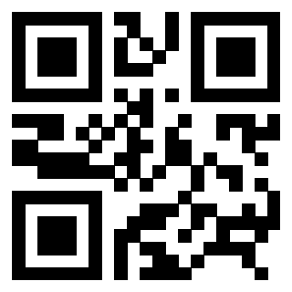 Il Qr Code di 3306338941
