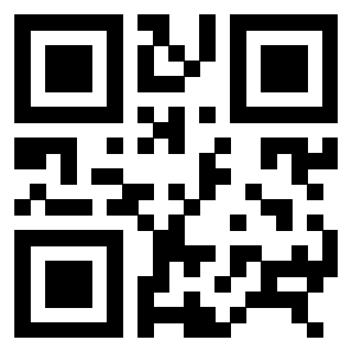 3306338953 - Immagine del QrCode