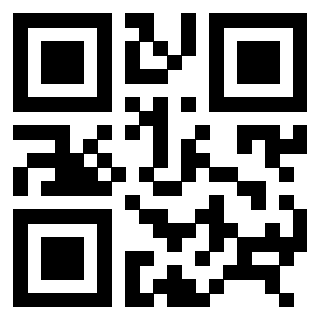 3306338995 - Immagine del QrCode