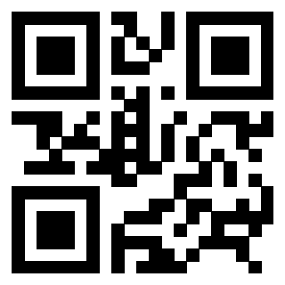 3306339069 - Immagine del QrCode