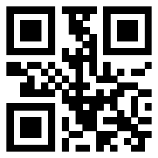 3306339091 - Immagine del QrCode