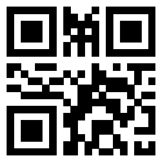 3306339234 - Immagine del QrCode associato