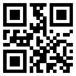 QrCode di 3306339239