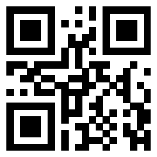 QrCode di 3306339336