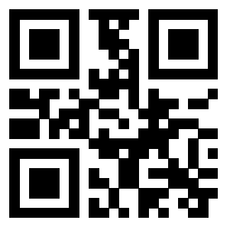 QrCode di 3306339351