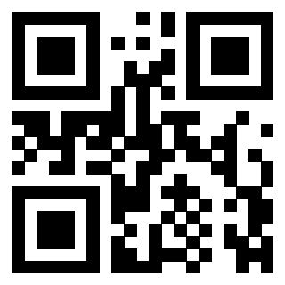 QrCode di 3306339382