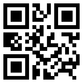 QrCode di 3306339404