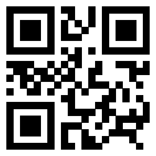 QrCode di 3306339405