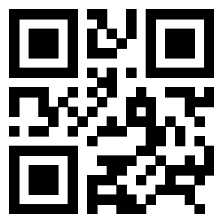 3306339544 - Immagine del QrCode associato