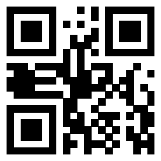 QrCode di 3306339575