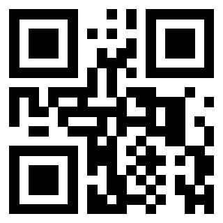 QrCode di 3306343791