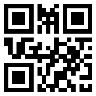 3306344009 - Immagine del QrCode