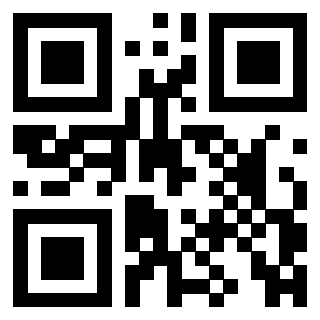 Il Qr Code di 3306402029
