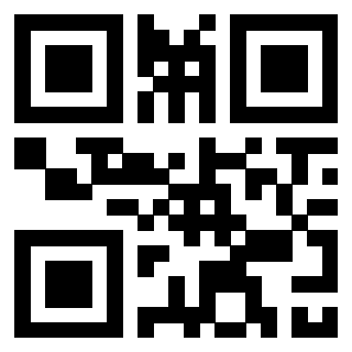 Il Qr Code di 3306402033