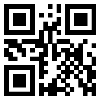 3306402111 - Immagine del QrCode