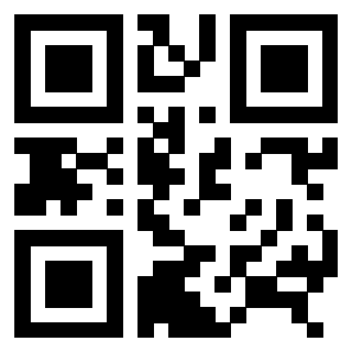3306402133 Qr Code associato