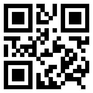 QrCode di 3306427317