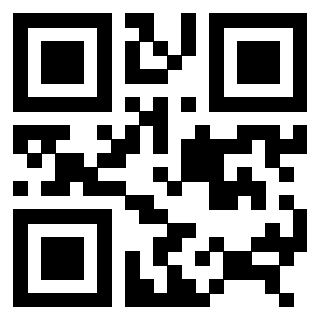 QrCode di 3306493852