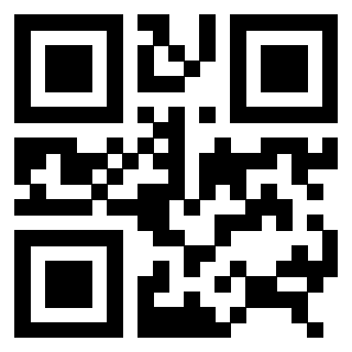 QrCode di 3306493868