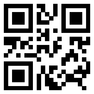 Il Qr Code di 3306493956